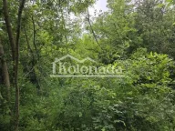 Sale, land lot, Parcani, Sopot - image 1