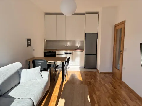 Rent, one bedroom apartment, 42m², Ulcinjsko Polje, Ulcinj - image 3