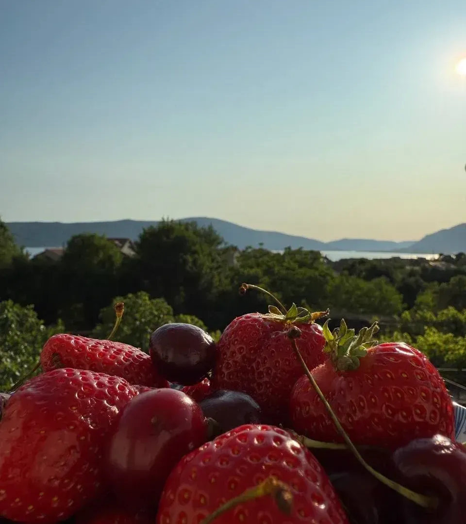 Prodaja, stan, 27m², Tivat, Crna Gora