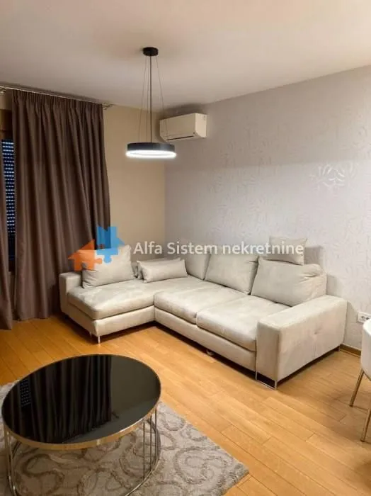 Rent, two bedroom apartment, 55m², Južni Bulevar, Vračar Sve Podlokacije