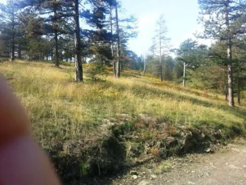 Prodaja, dvosoban stan, 39m², Divčibare, Valjevo - image 9