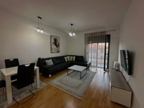 Izdavanje, jednosoban stan, 60m², Centar, Podgorica - image 2
