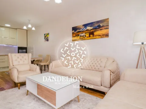 Izdavanje, jednosoban stan, 50m², Central Point, Podgorica - image 10