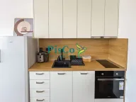 Izdavanje, jednosoban stan, 43m², Stari Aerodrom, Podgorica - image 6