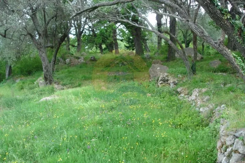 Prodaja, plac, 1500m², Kavač, Kotor
