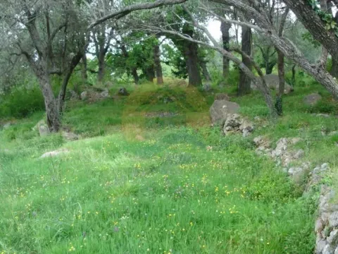 Prodaja, plac, 1500m², Kavač, Kotor - image 5