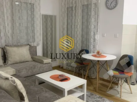 Rent, studio apartment, 27m², Zabjelo, Podgorica - image 4
