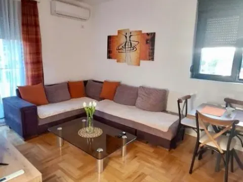 Izdavanje, dvosoban stan, 50m², Zabjelo, Podgorica - image 1