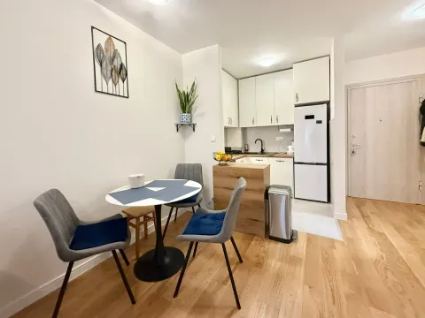 Prodaja, jednosoban stan, 40m², Central Point, Podgorica - image 4