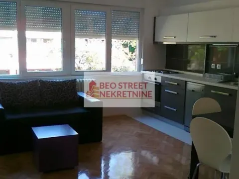 Izdavanje, dvosoban stan, 45m², Vračar Centar, Vračar Sve Podlokacije - image 5