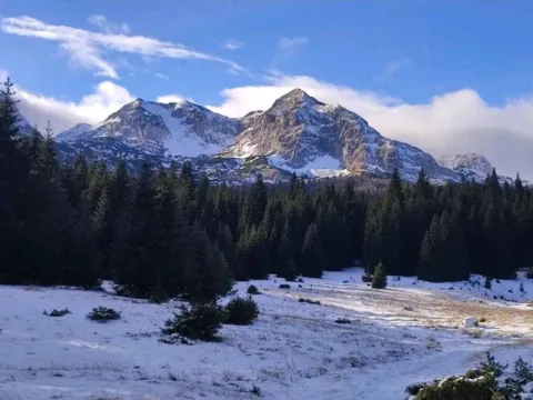Prodaja, kuća, 70m2, Motički gaj, Žabljak Prodaja, kuća, 70m2, Motički gaj, Žabljak