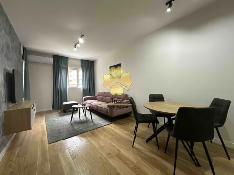 Izdavanje, jednosoban stan, 50m², Central Point, Podgorica - image 2