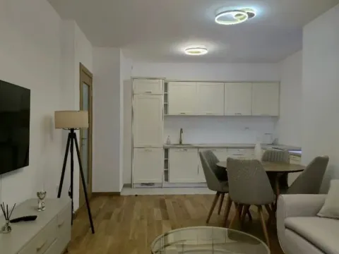 Rent, one bedroom apartment, 47m², New City, Podgorica - image 2