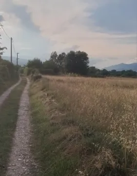 Zemljani put pored prostranog travnatog placa pod oblačnim nebom. - image 4