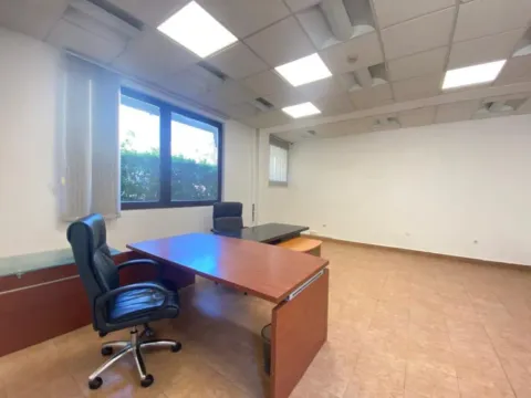 Izdavanje, poslovni prostor, 54m², Ljubović, Podgorica - image 4
