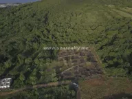 Prodaja, plac, 5600m², Krimovica, Kotor - image 21