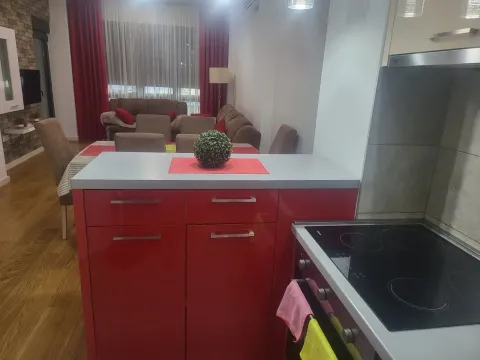 Rent, three bedroom apartment, 78m², Vezirov Most, Podgorica - image 10