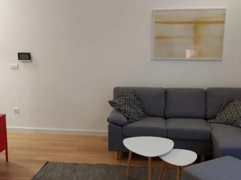 Izdavanje, dvosoban stan, 40m², Južni Bulevar, Vračar Sve Podlokacije - image 3