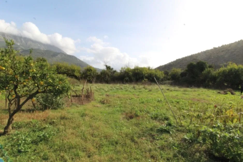 Sale, land lot, 2815m², Tomba, Bar