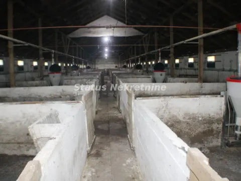 Sale, office space, 848m², Titel, Novi Sad - image 4