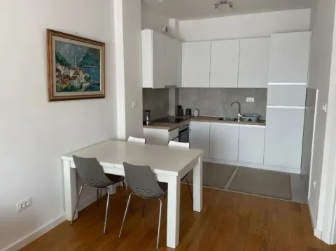 Izdavanje, jednosoban stan, 50m², Centar, Podgorica - image 3