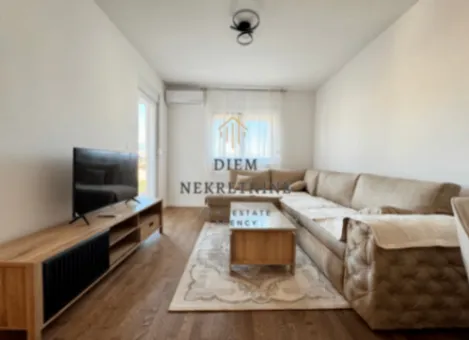 Izdavanje, jednosoban stan, 45m², Stari Aerodrom, Podgorica