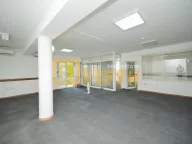 Izdavanje, poslovni prostor, 1000m², Centar, Podgorica - image 16