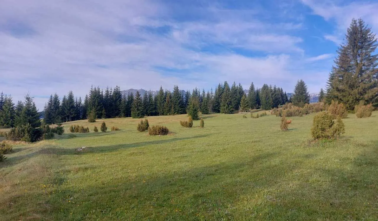 Prodaja, plac, 17500m², Žabljak, Crna Gora