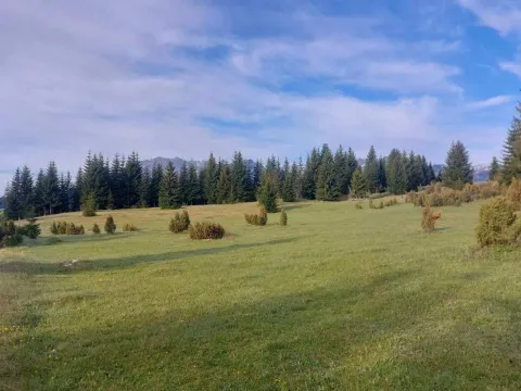 Prodaja, plac, 17500m², Žabljak, Crna Gora