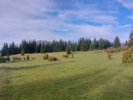 Prodaja, plac, 17500m², Žabljak, Crna Gora - image 1