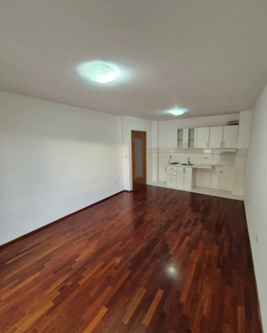Izdavanje, jednosoban stan, 47m², Stari Aerodrom, Podgorica