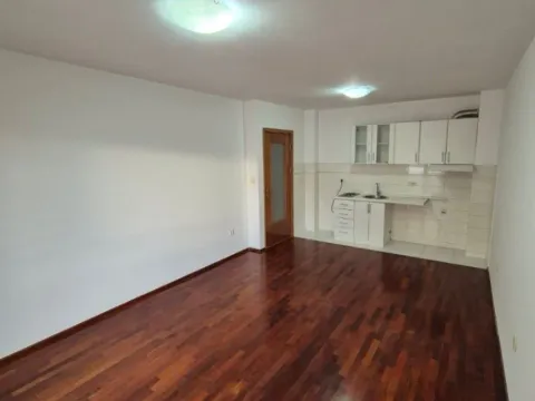 Izdavanje, jednosoban stan, 47m², Stari Aerodrom, Podgorica