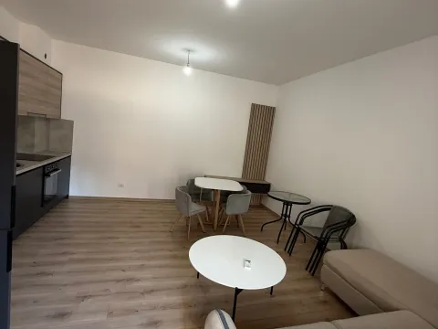 Sale, one bedroom apartment, 48m², Velika Plaža, Ulcinj - image 4