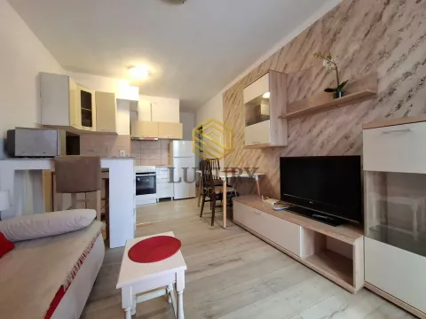 Rent, one bedroom apartment, 40m², Dalmatinska ulica, Podgorica - image 8