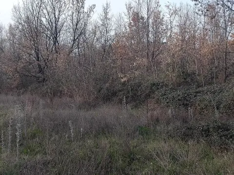 Prodaja, plac, 2400m², Dajbabe, Podgorica - image 2