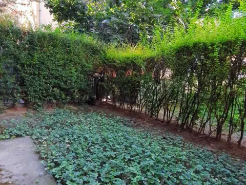 Sale, one bedroom apartment, 39m², Karaburma, Palilula Sve Podlokacije - image 13