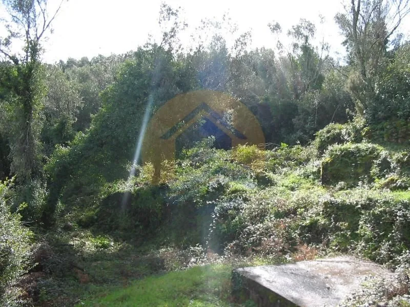 Prodaja, plac, 400m², Krašići, Tivat