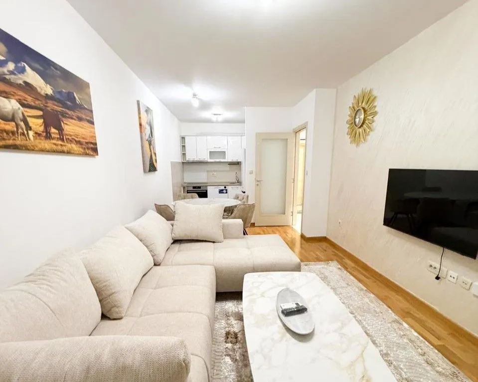 Rent, one bedroom apartment, 46m², Zagorič, Podgorica