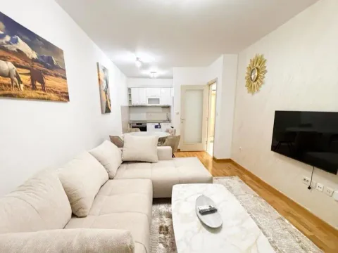 Rent, one bedroom apartment, 46m², Zagorič, Podgorica - image 1