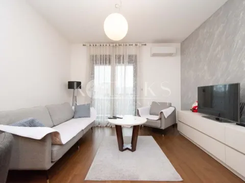 Izdavanje, jednosoban stan, 48m², Ljubović, Podgorica - image 2