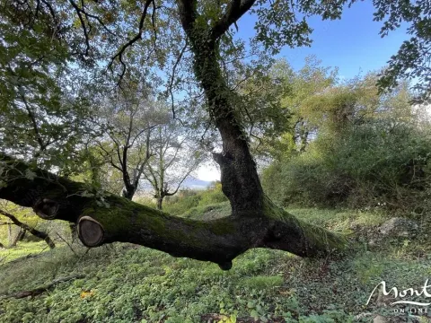 Prodaja, plac, 350m², Kavač, Kotor - image 7