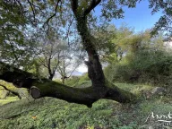 Sale, land lot, 3m², Kavač, Kotor - image 7