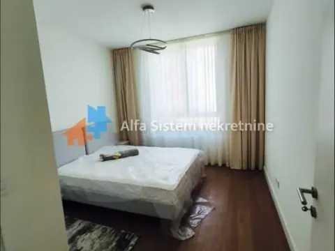 Izdavanje, dvosoban stan, 55m², Savski Venac, Beograd - image 13