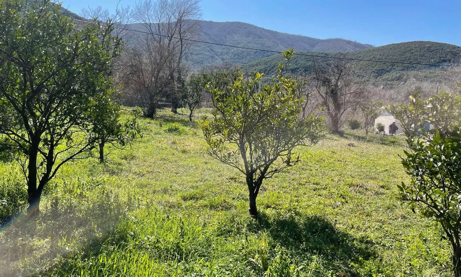Prodaja, plac, 500m², Buljarica, Budva