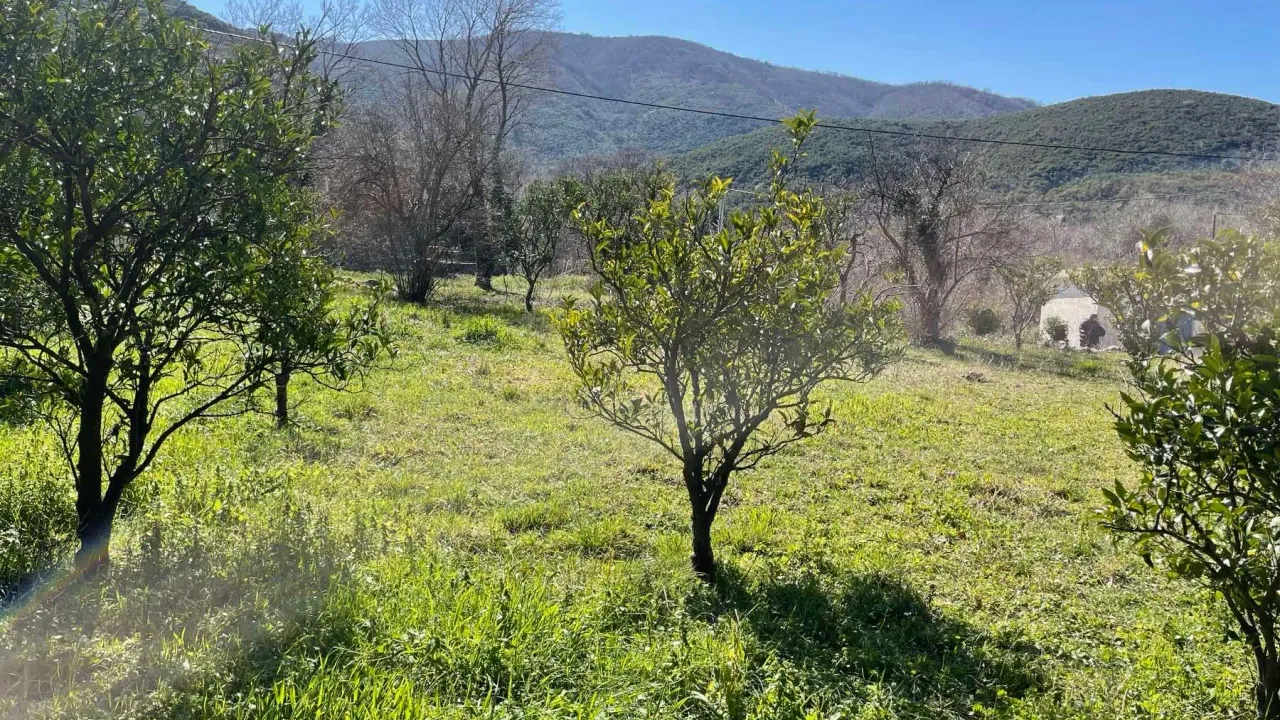 Prodaja, plac, 500m², Buljarica, Budva