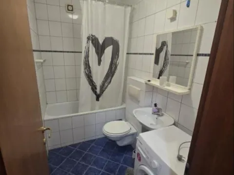 Izdavanje, jednosoban stan, 46m², Nova Detelinara, Novi Sad Sve Podlokacije - image 10