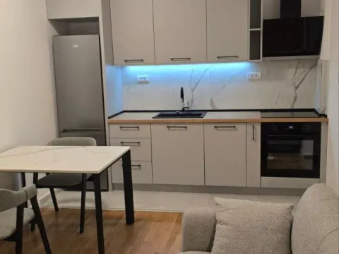 Izdavanje, jednosoban stan, 37m², Tološi, Podgorica - image 7