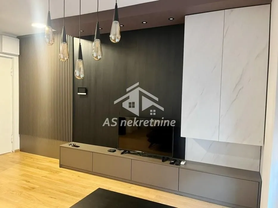 Izdavanje, stan, 55m², Južni Bulevar, Vračar Sve Podlokacije