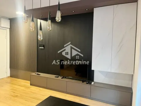 Izdavanje, stan, 55m², Južni Bulevar, Vračar Sve Podlokacije - image 6