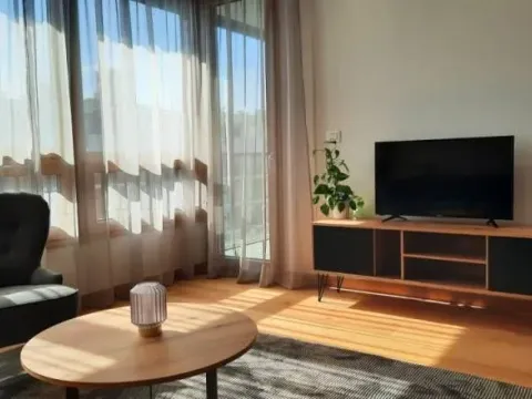 Izdavanje, dvosoban stan, 56m², Novi Beograd Blok 65, Novi Beograd Sve Podlokacije - image 8